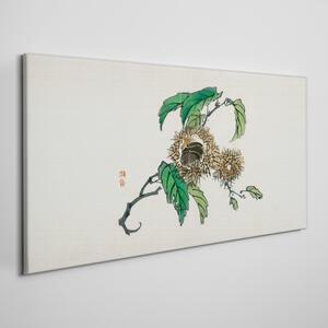 Obraz na plátně Obraz na plátně Větve kaštanových listů