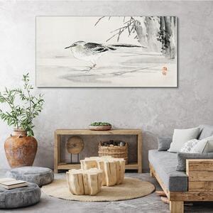 Obraz na plátně Obraz na plátně Strom zvířecí pták vrabec
