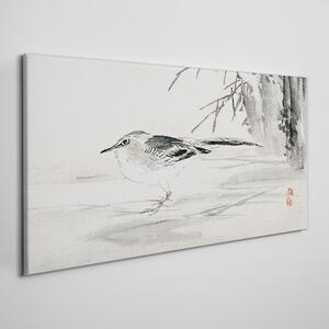 Obraz na plátně Obraz na plátně Strom zvířecí pták vrabec