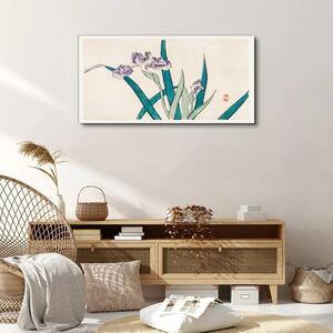 Obraz na plátně Obraz na plátně Asijské květiny kreslení