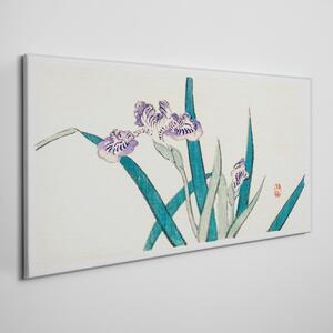 Obraz na plátně Obraz na plátně Asijské květiny kreslení