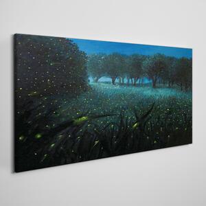 Obraz na plátně Obraz na plátně Lesní noční fireflies