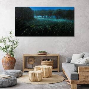 Obraz na plátně Obraz na plátně Lesní noční fireflies