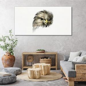 Obraz na plátně Obraz na plátně kreslení zvířat pták