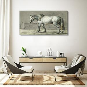 Obraz na plátně Obraz na plátně Zvířecí kůň Jean Bernard