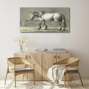Obraz na plátně Obraz na plátně Zvířecí kůň Jean Bernard