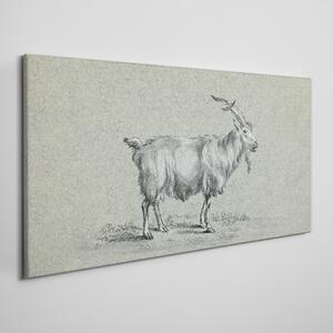 Obraz na plátně Obraz na plátně Moderní zvířecí koza