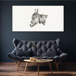 Obraz na plátně Obraz na plátně Kreslení zvířat oslí