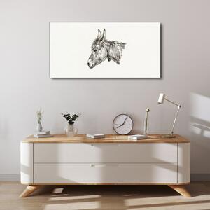 Obraz na plátně Obraz na plátně Kreslení zvířat oslí