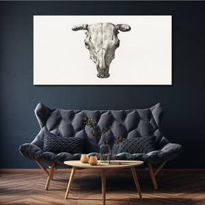 Obraz na plátně Obraz na plátně Kreslení zvířecí krávy lebka