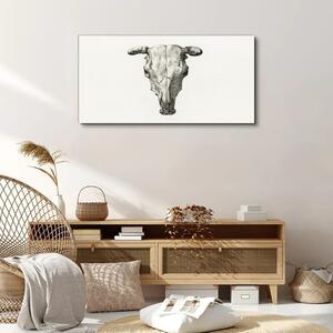 Obraz na plátně Obraz na plátně Kreslení zvířecí krávy lebka