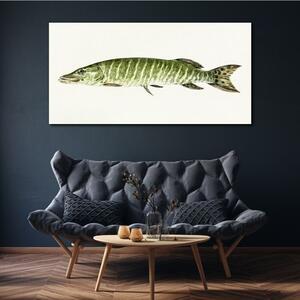 Obraz na plátně Obraz na plátně Zvířecí ryby