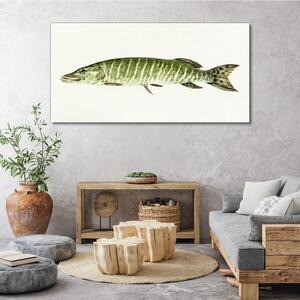 Obraz na plátně Obraz na plátně Zvířecí ryby