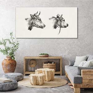 Obraz na plátně Obraz na plátně Kresba krávy zvířat