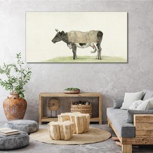 Obraz na plátně Obraz na plátně Kráva