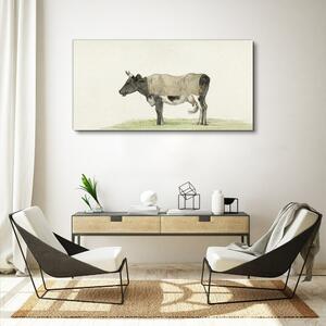 Obraz na plátně Obraz na plátně Kráva