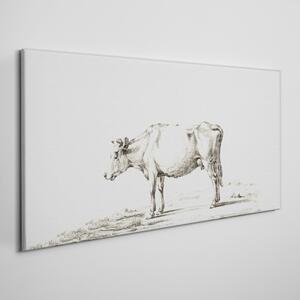 Obraz na plátně Obraz na plátně Kreslení krávy zvířat