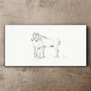 Obraz na plátně Obraz na plátně Kreslení zvířat Koně