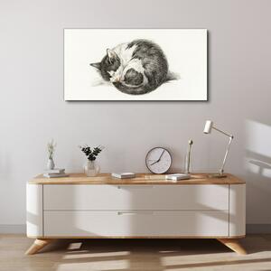Obraz na plátně Obraz na plátně Kreslení zvířat kočka