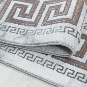 Vopi | Kusový koberec Naxos 3818 bronze - 240 x 340 cm