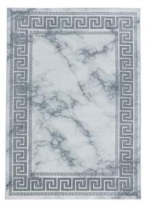 Vopi | Kusový koberec Naxos 3818 silver - 80 x 150 cm