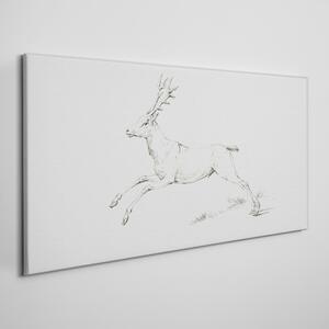 Obraz na plátně Obraz na plátně Kreslení živočišného jelenu