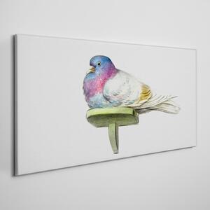 Obraz na plátně Obraz na plátně Zvířecí pták holub