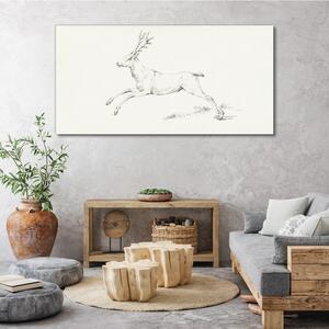 Obraz na plátně Obraz na plátně Kreslení živočišného jelenu