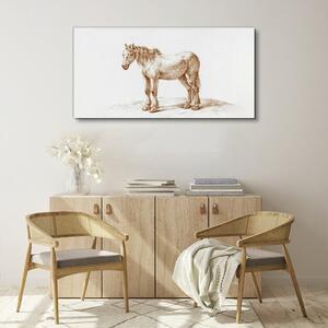 Obraz na plátně Obraz na plátně Kreslení zvířecího koně