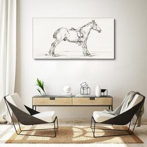 Obraz na plátně Obraz na plátně Kreslení zvířecího koně