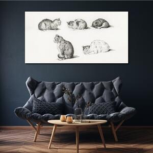 Obraz na plátně Obraz na plátně Kreslení zvířat koček