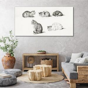 Obraz na plátně Obraz na plátně Kreslení zvířat koček