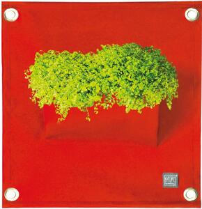 Blooming Walls s.r.o. Kapsář na rostliny THE GREEN POCKETS AMMA 50x45 cm, červená