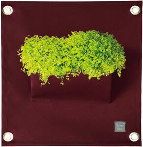 Blooming Walls s.r.o. Kapsář na rostliny THE GREEN POCKETS AMMA 50x45 cm, vínová