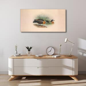 Obraz na plátně Obraz na plátně Ptáci béžová zvířata