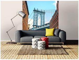 Fototapeta - Most v Manhattanu 375x250 + zdarma lepidlo