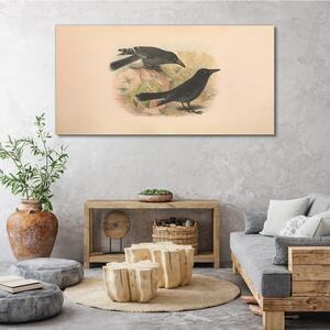 Obraz na plátně Obraz na plátně Ptáci zvířata kreslení