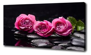 Foto obraz na plátně do obýváku Růžové růže pl-oc-100x50-f-77048055