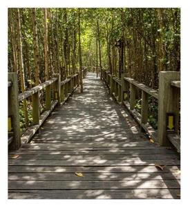 Fototapeta - Mangrovový les 225x250 + zdarma lepidlo