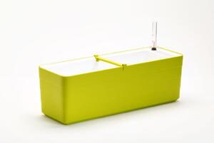 PLASTIA s.r.o. Samozavlažovací truhlík Berberis zelená + bílá, 60 cm
