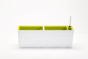 Samozavlažovací truhlík Berberis bílá + zelená, 60 cm