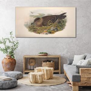 Obraz na plátně Obraz na plátně Ptáci béžová zvířata