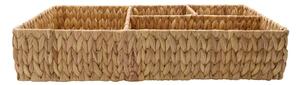 ORGANIZÉR WATER HYACINTH 50 X 10