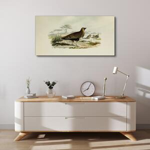 Obraz na plátně Obraz na plátně Ptáci divoká zvířata
