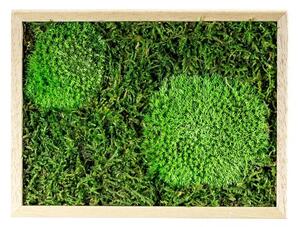 Mechový obraz 13x18 cm kombinovaný mech kopečkový s plochým, přírodní