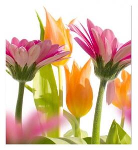 Fototapeta - Jarní květiny 225x250 + zdarma lepidlo