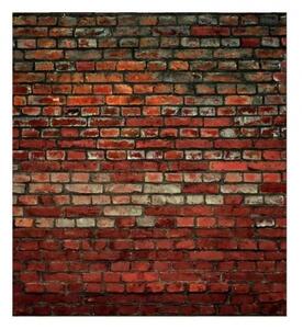 Fototapeta - Zeď z cihel 225x250 + zdarma lepidlo