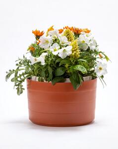 Samozavlažovací závěsný květináč (žardina) Berberis 26 cm, terakota