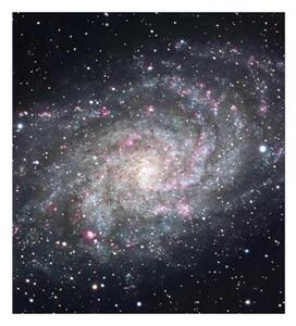 Fototapeta - Galaxie 225x250 + zdarma lepidlo
