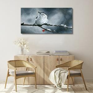 Obraz na plátně Obraz na plátně Zvířecí pták sněhová zima